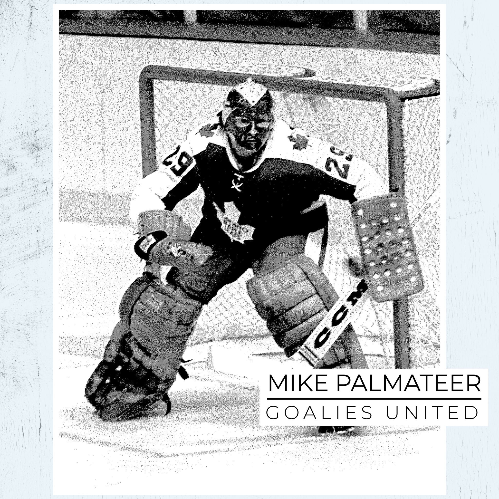 Mike Palmateer Toronto Maple Leafs Autographed 8x10 Image (13)