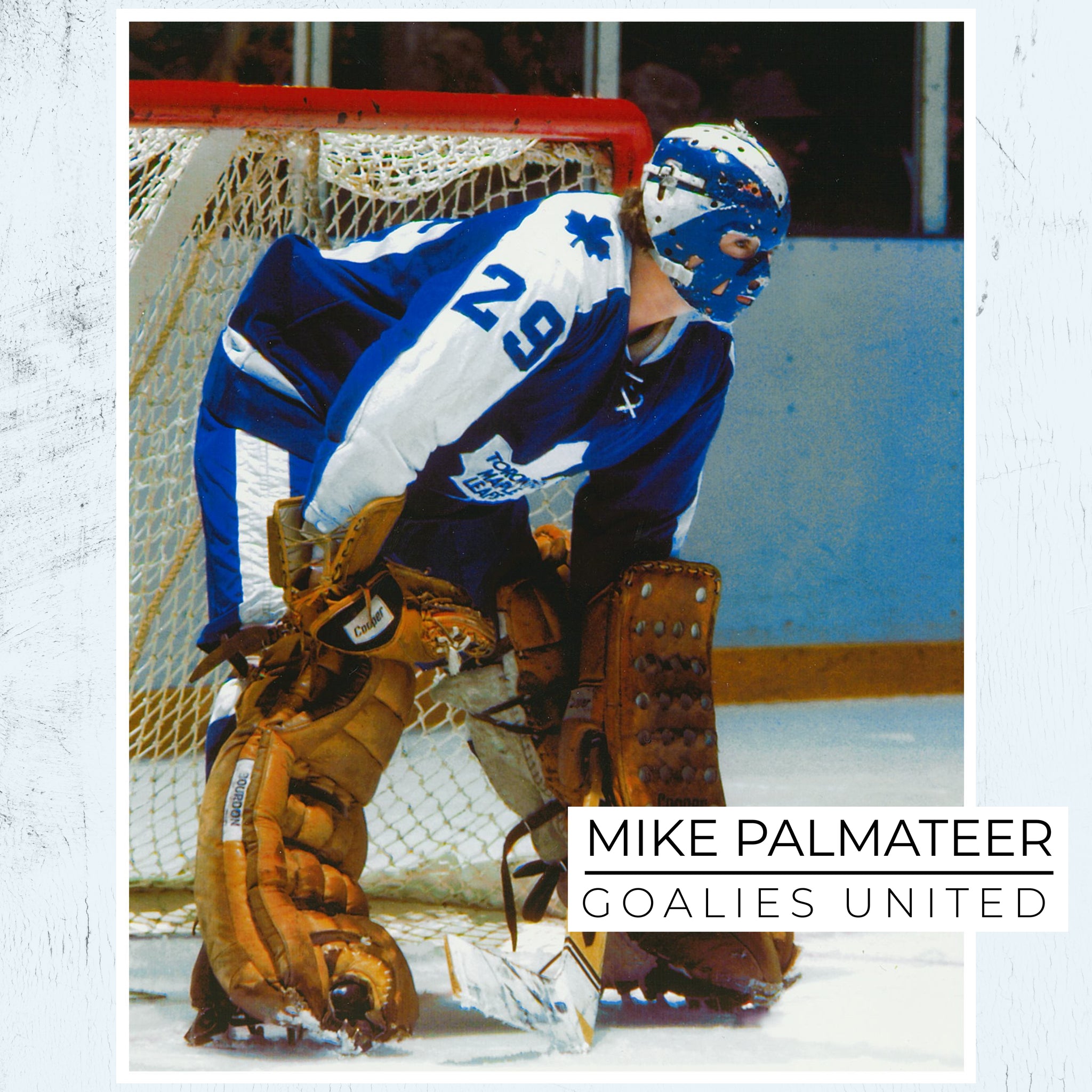 Mike Palmateer Toronto Maple Leafs Autographed 8x10 Image (18)