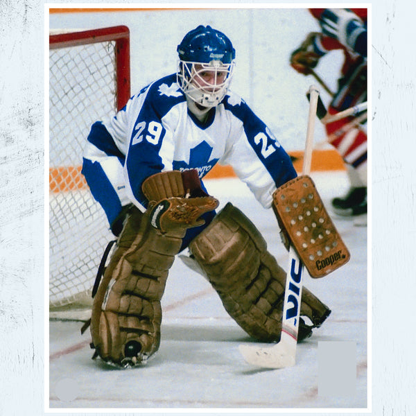 Framed: 20x16 Mike Palmateer Toronto Maple Leafs (2)