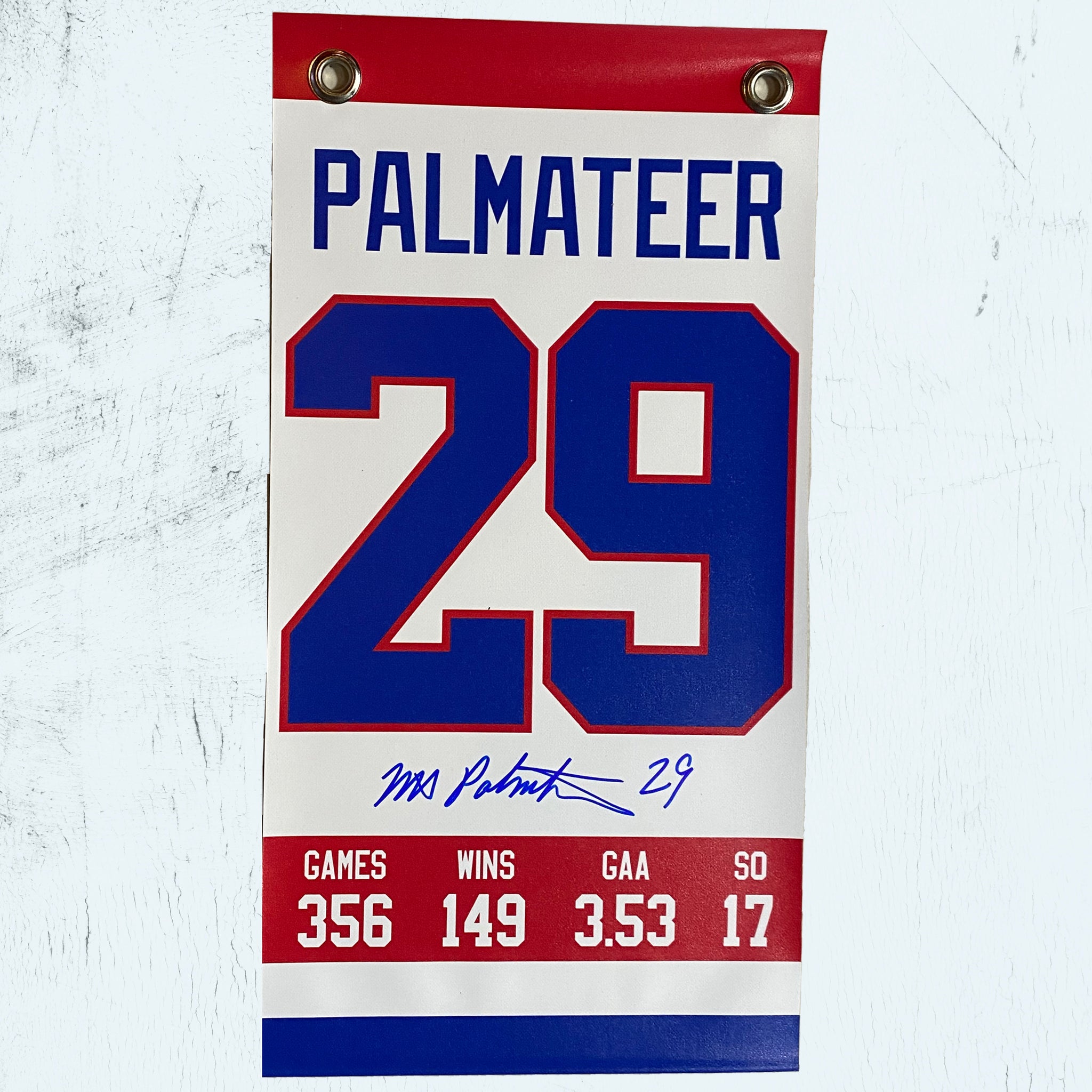 Mike Palmateer Autographed 8" x 15" Washington Capitals White Banner